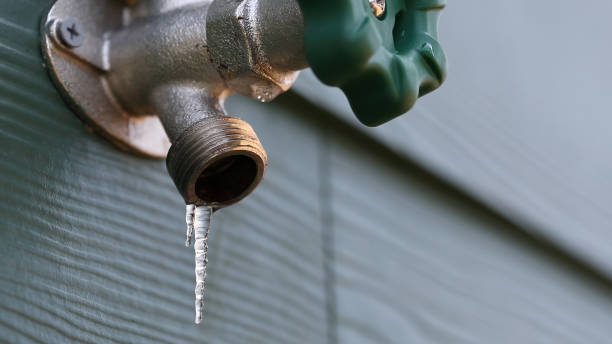 Best Clogged Drain Plumber  in Weaverville, NC